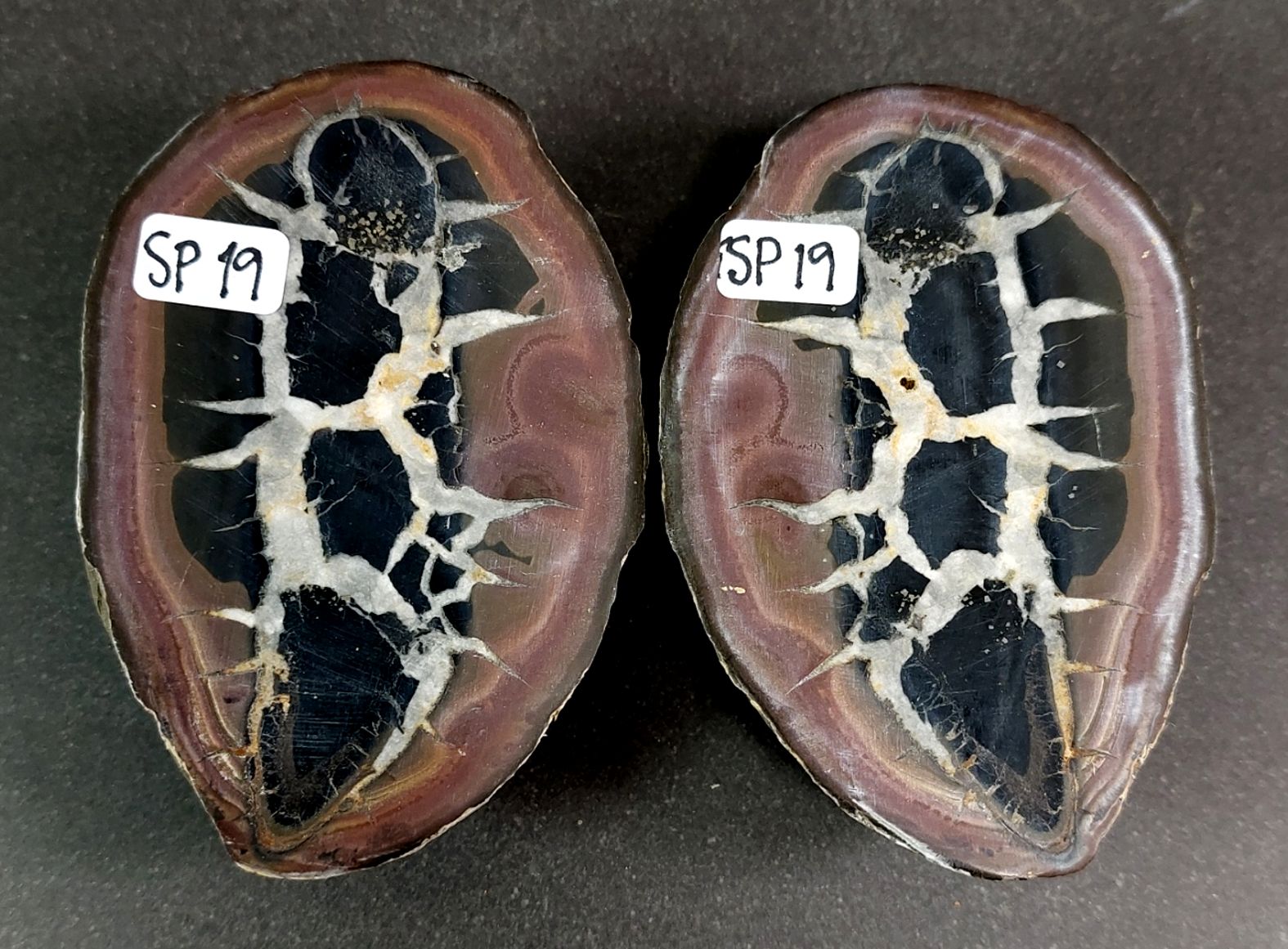 Septaria  Knölar / Nodules (Dragon eggs) - Slipade Halvor, nr11-20 - 11