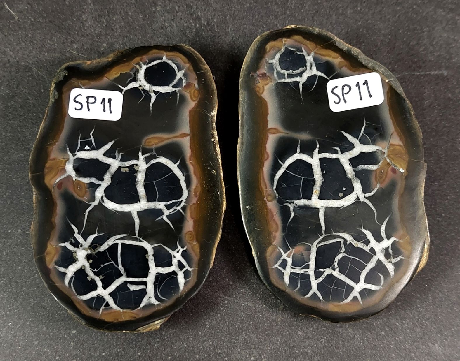 Septaria  Knölar / Nodules (Dragon eggs) - Slipade Halvor, nr11-20 - 3