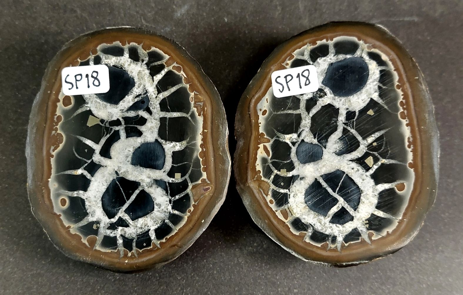 Septaria  Knölar / Nodules (Dragon eggs) - Slipade Halvor, nr11-20 - 10