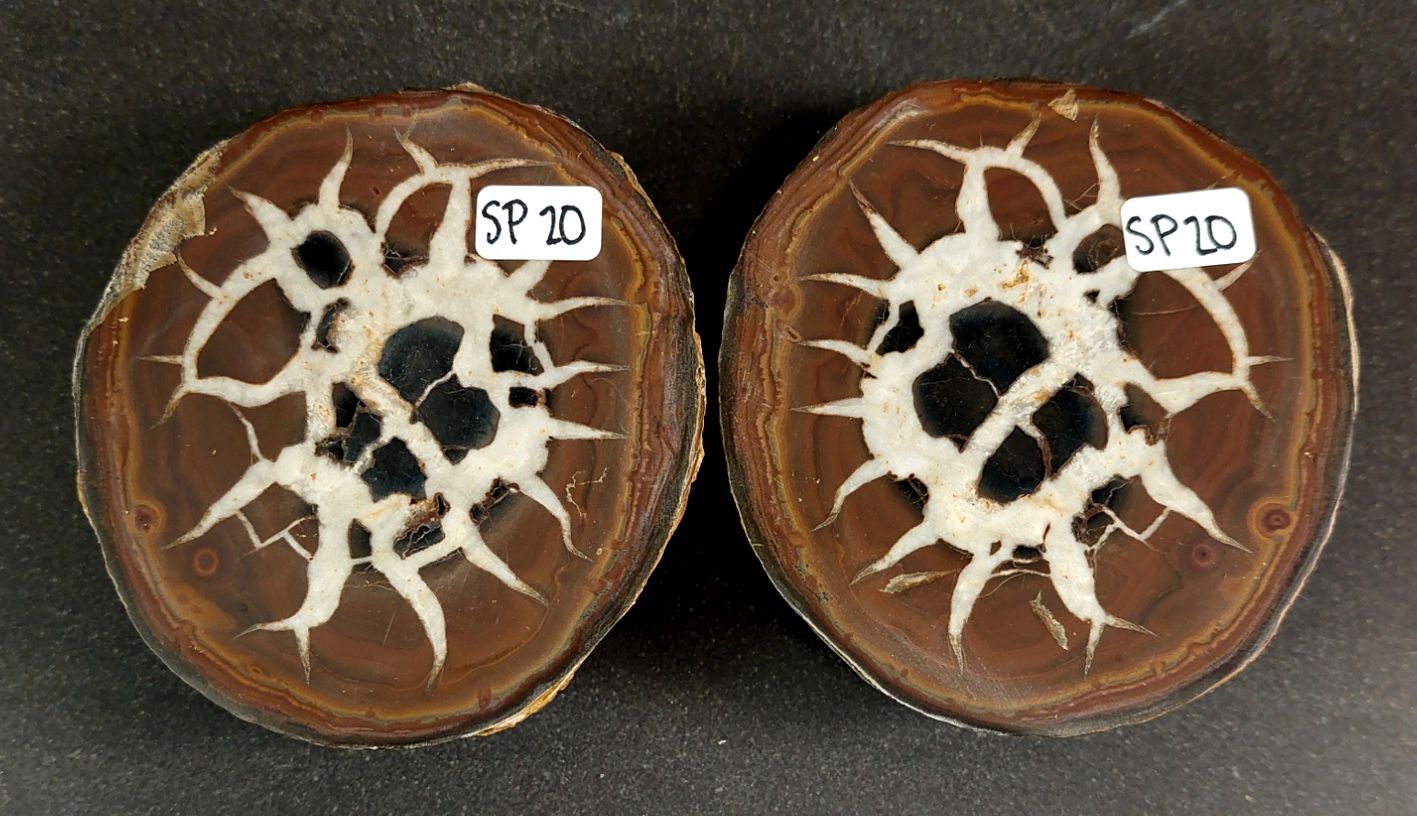 Septaria  Knölar / Nodules (Dragon eggs) - Slipade Halvor, nr11-20 - 12