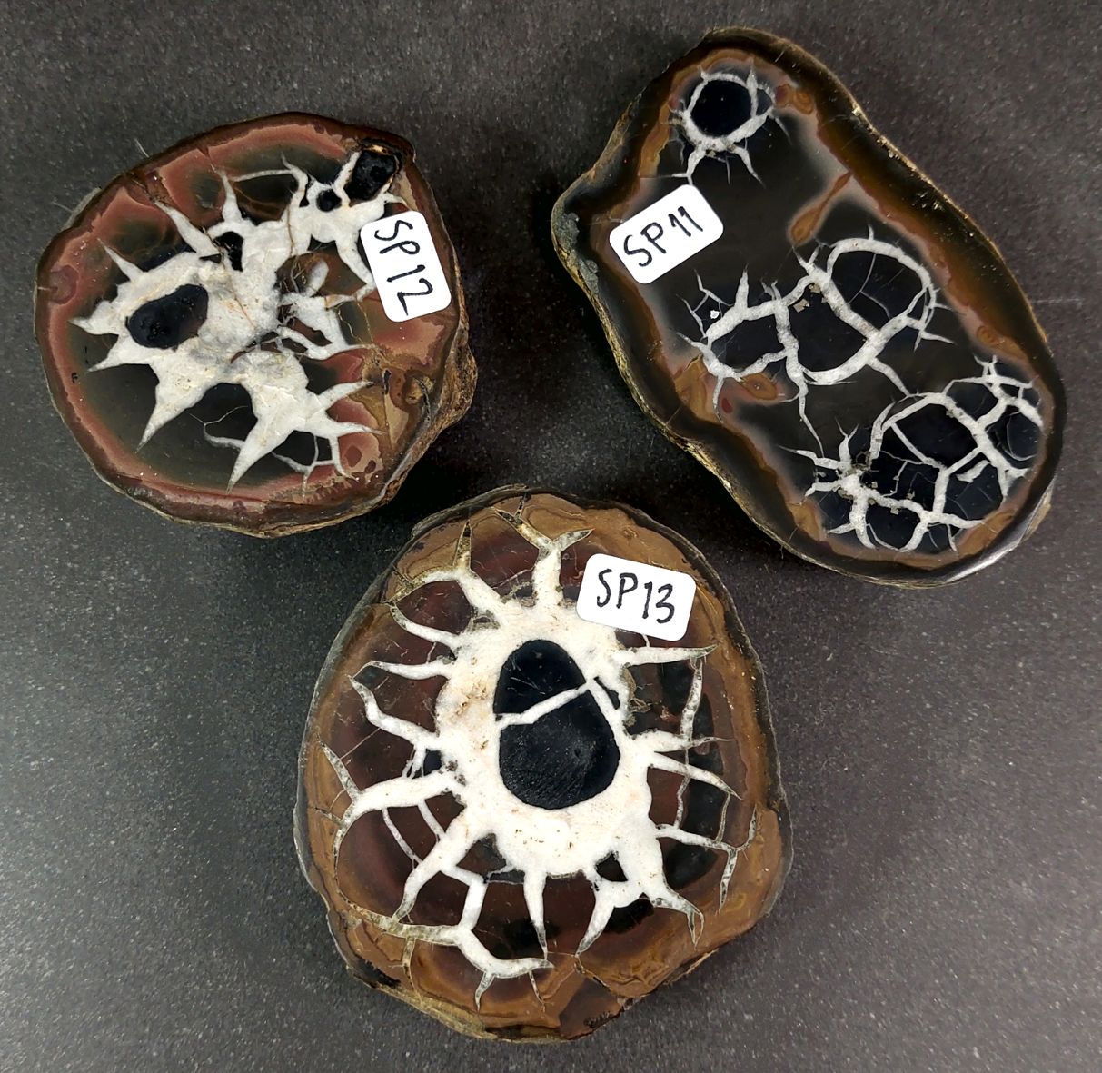 Septaria  Knölar / Nodules (Dragon eggs) - Slipade Halvor, nr11-20