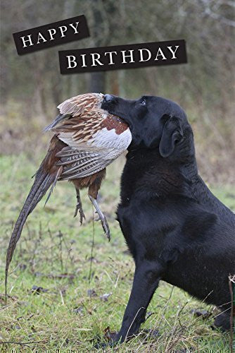 Födelsedagskort med svart labrador och fasantupp, matt insida.