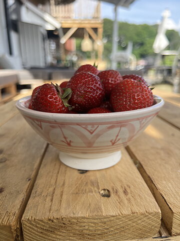 Marockansk keramikskål rosa 15 cm 