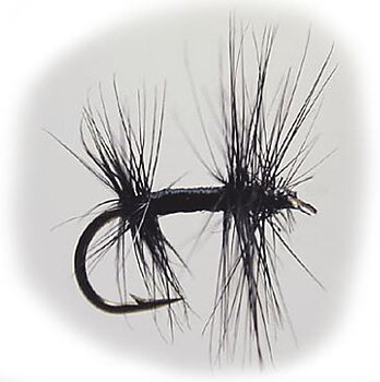 Torrfluga - Knotted Midge