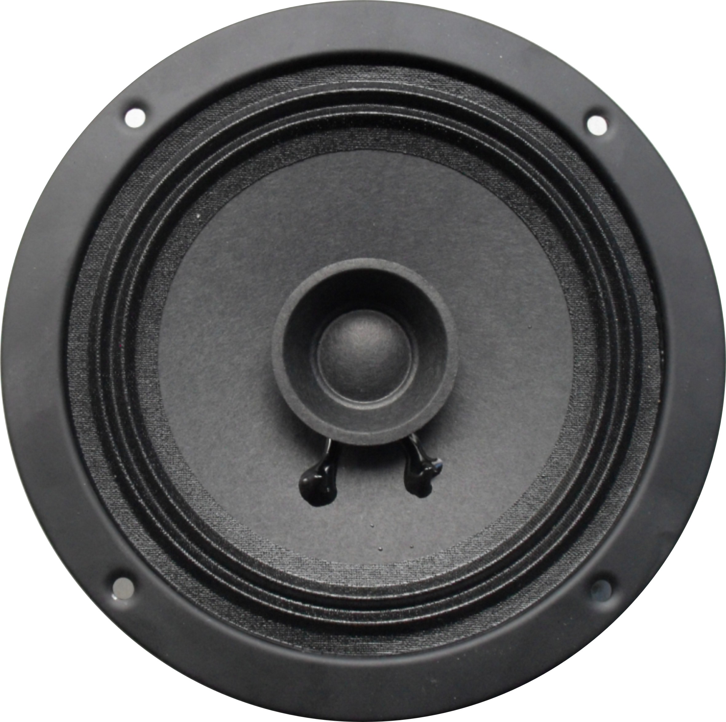 Dual cone speaker 30 W