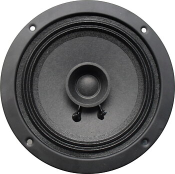 Dual cone speaker 30 W