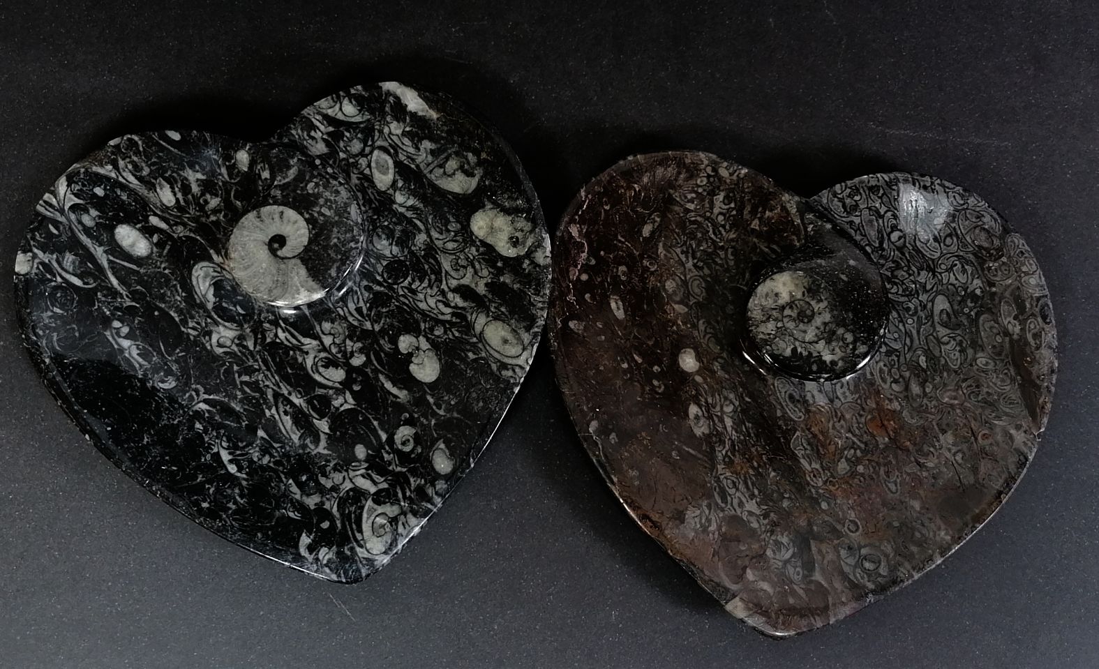 Fossil Sten Skål, Hjärta  - 15 cm