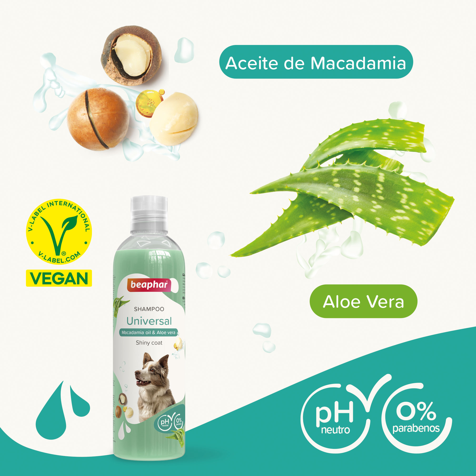 Beaphar Shampoo 250 ml - 4