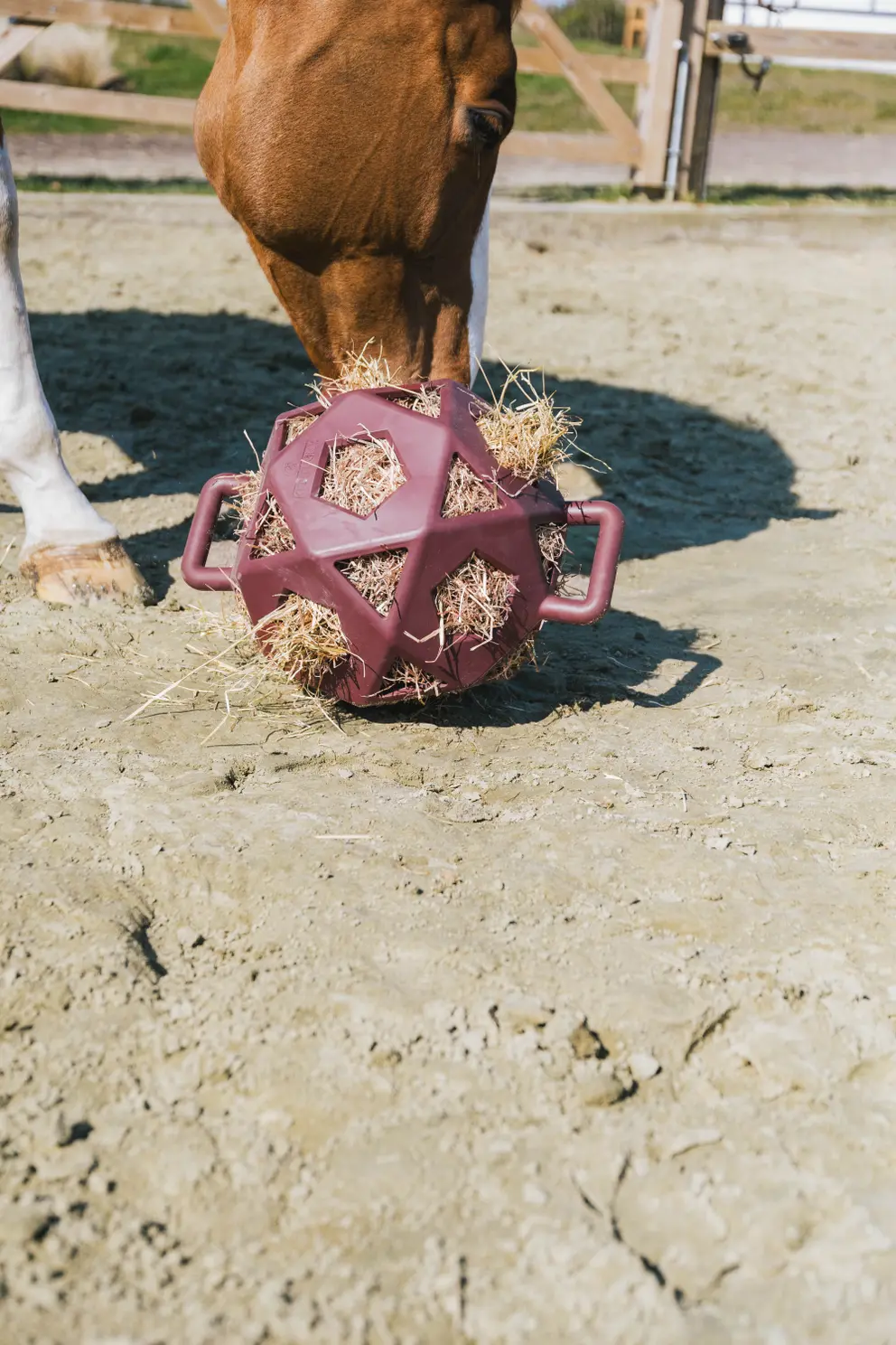 KENTUCKY Relax Horse Play & Hay Ball Kentucky Bordeaux - 3