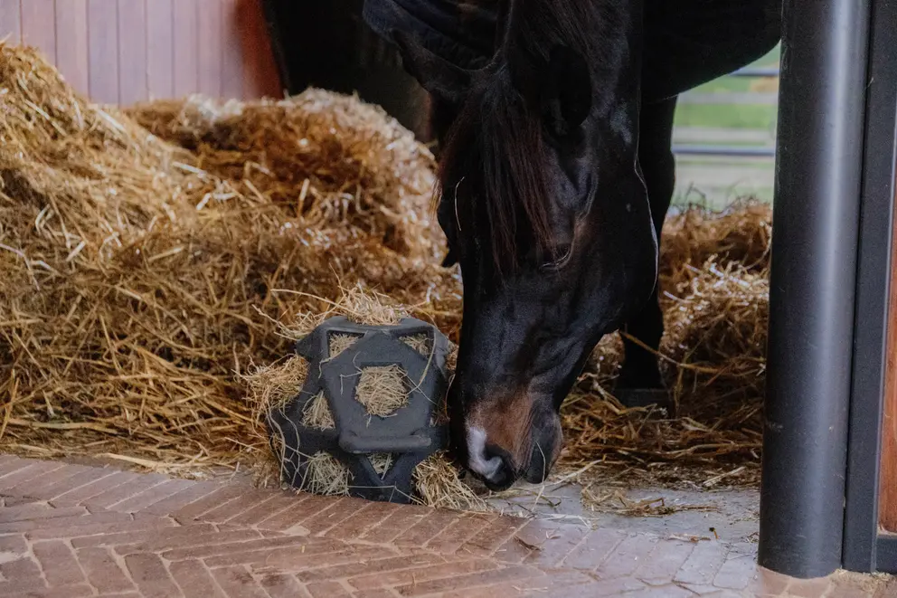KENTUCKY Relax Horse Play & Hay Ball Kentucky Grey - 2