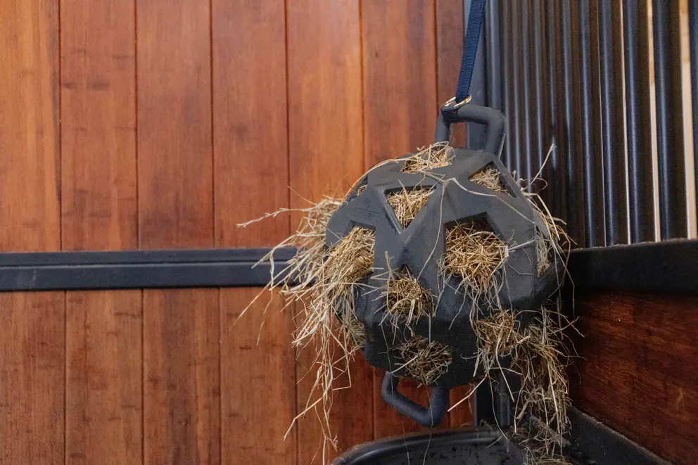 KENTUCKY Relax Horse Play & Hay Ball Kentucky Grey - 3