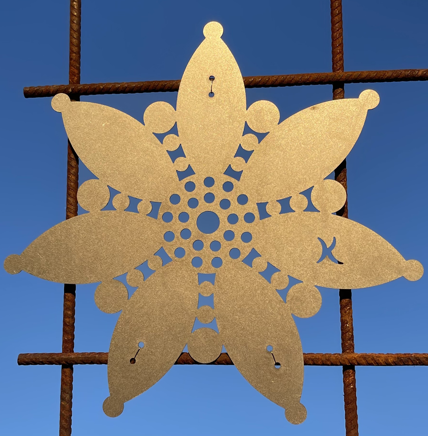 DAISY rostar