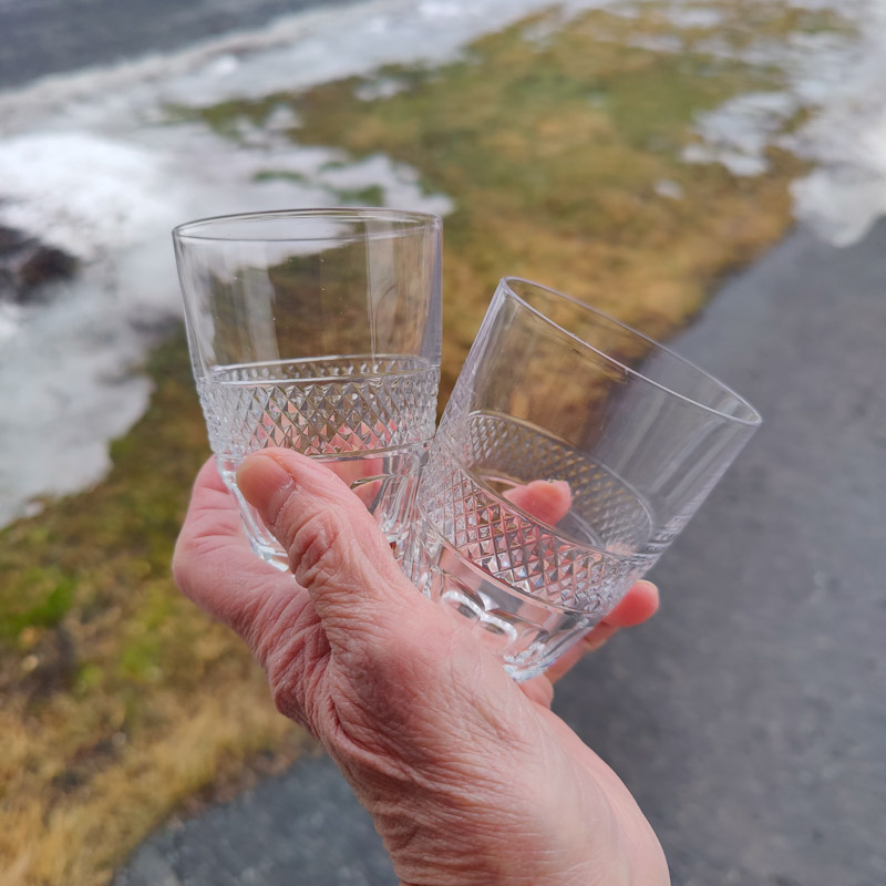  Rio selterglas från Orrefors