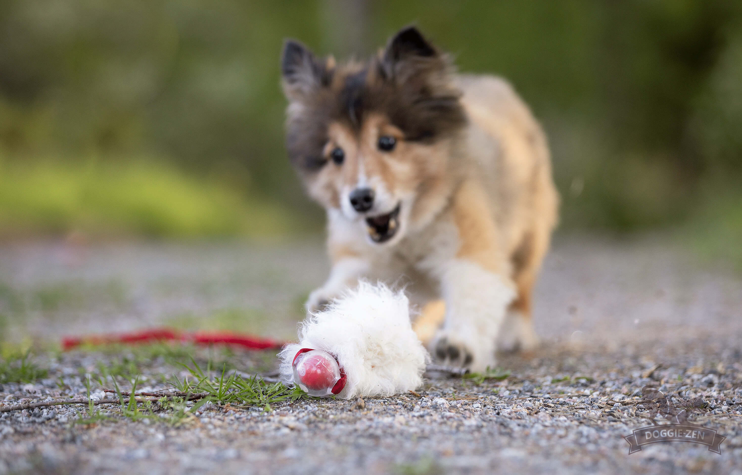 Bungee Sheepskin Chaser Tug S with Amazing Squeaker Ball - 3