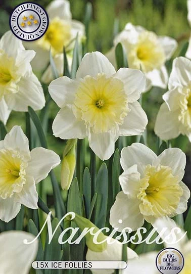 10155  NARCISSUS  ICE FOLLIES  Antal lökar    12.St  Storlek  14/16