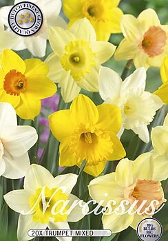 10200  NARCISSUS  MIXED  Antal lökar   20.St  Storlek  14/16