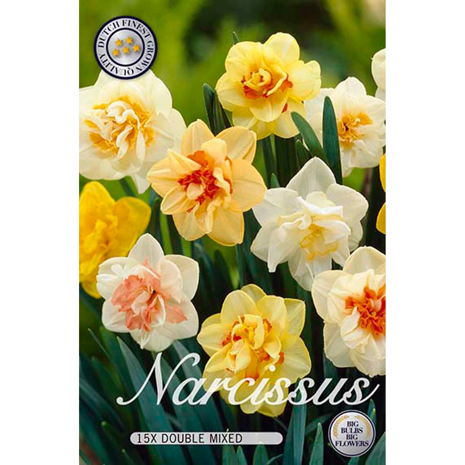 10205  NARCISSUS  DOUBLE MIXED  Antal lökar   12.St  Storlek  14/16
