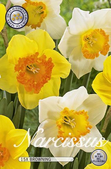 10213  NARCISSUS  BROWNING  Antal lökar   15.St  Storlek  14/16