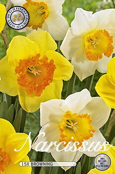 10213  NARCISSUS  BROWNING  Antal lökar   15.St  Storlek  14/16