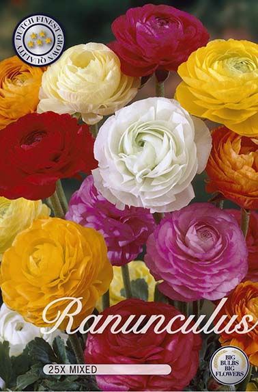 10215  RANUNCULUS  ASIATIC MIXED  Antal lökar   25.St  Storlek  6/7