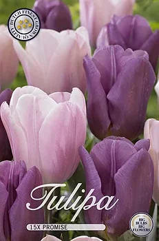 10249  TULIPA  PROMISE  Antal lökar   15.St  Storlek  12/+