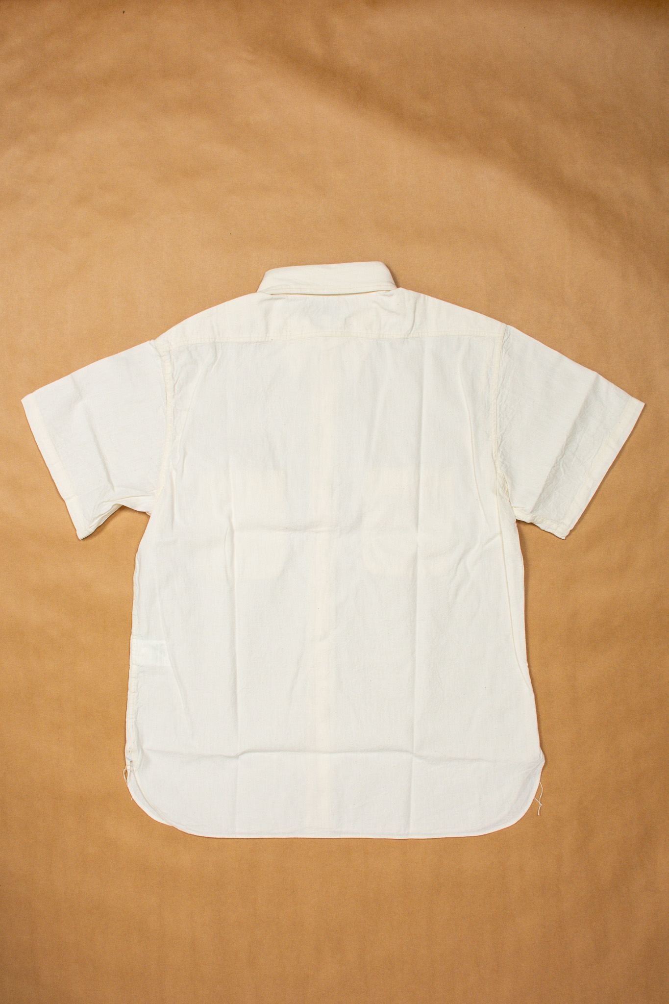 Buzz Rickson’s - Off White Chambray S/S Shirt - 5