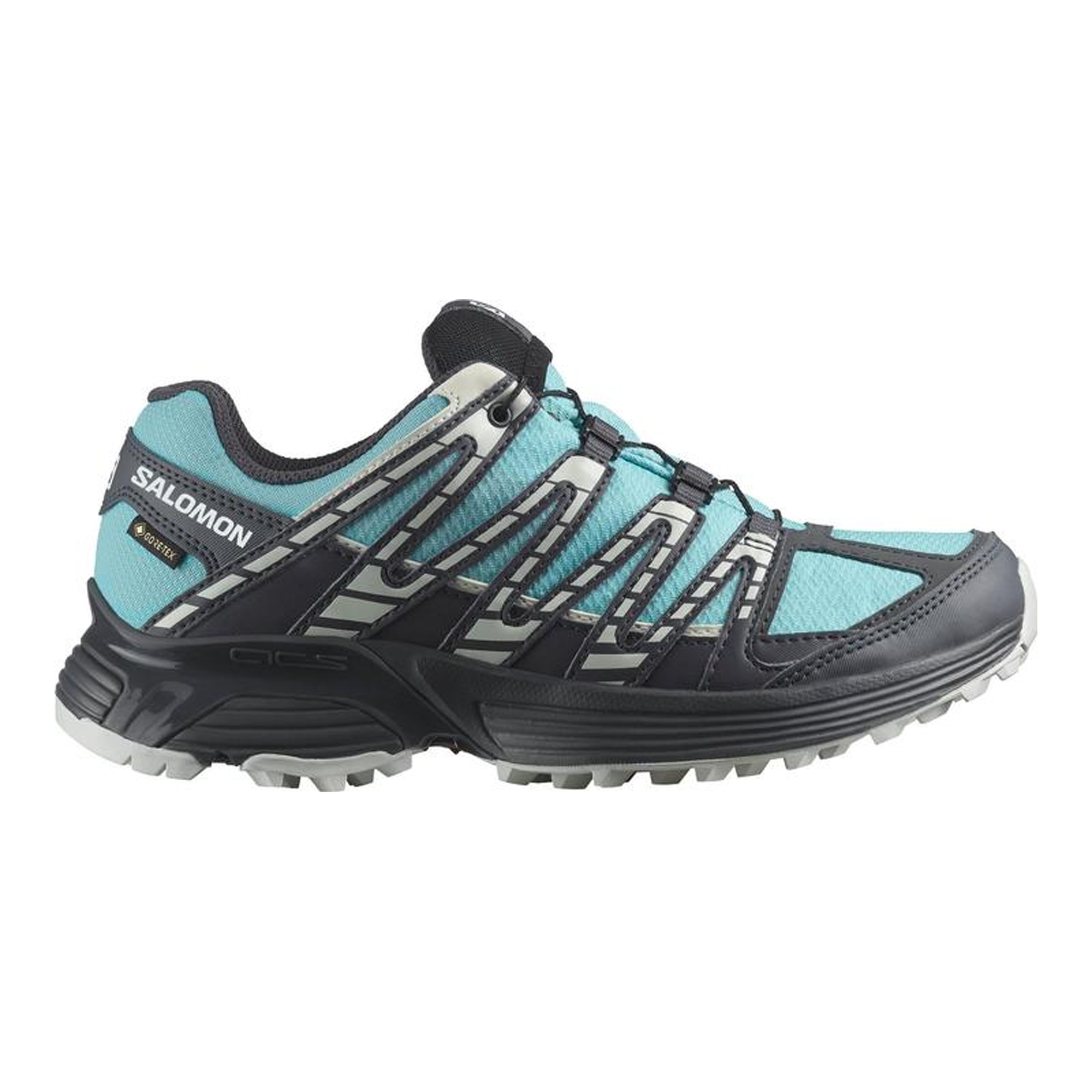 Salomon XA Pro 3D V9 GTX W Vandringsskor - 2