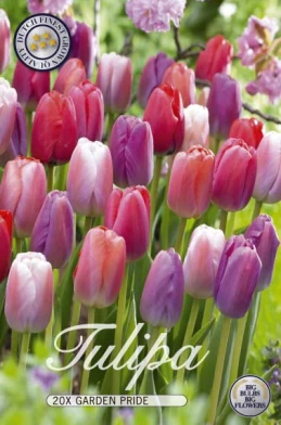 10381  TULIPA  GARDEN PRIDE  Antal lökar   20.St  Storlek  12/+