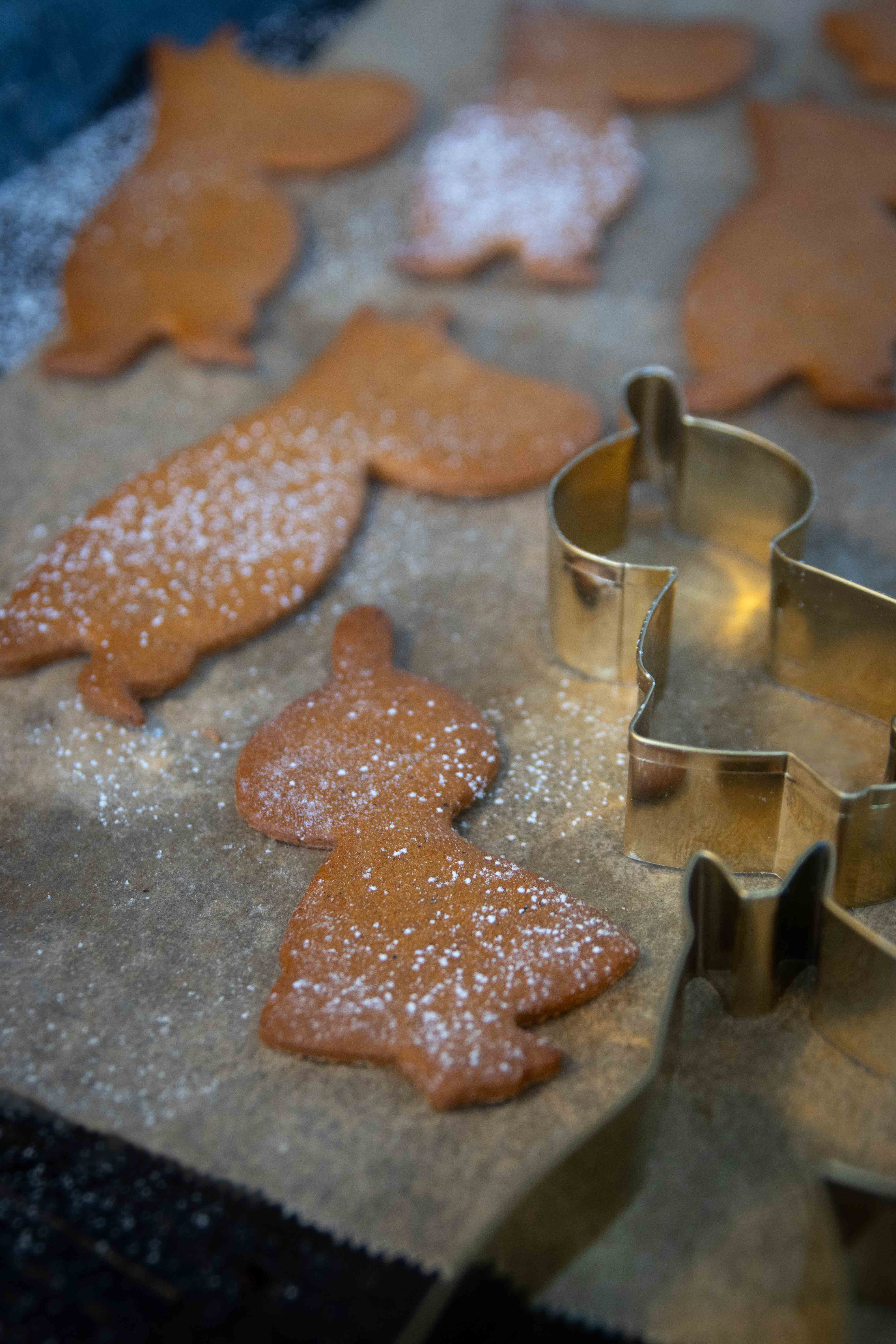 PEPPARKAKSFORMAR MOOMIN WINTER 3-PACK 