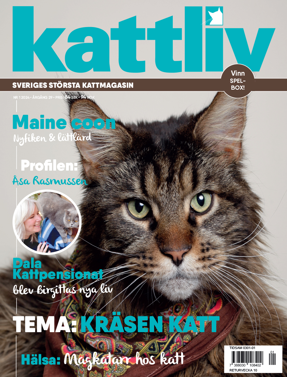 Lösnummer 1/2024