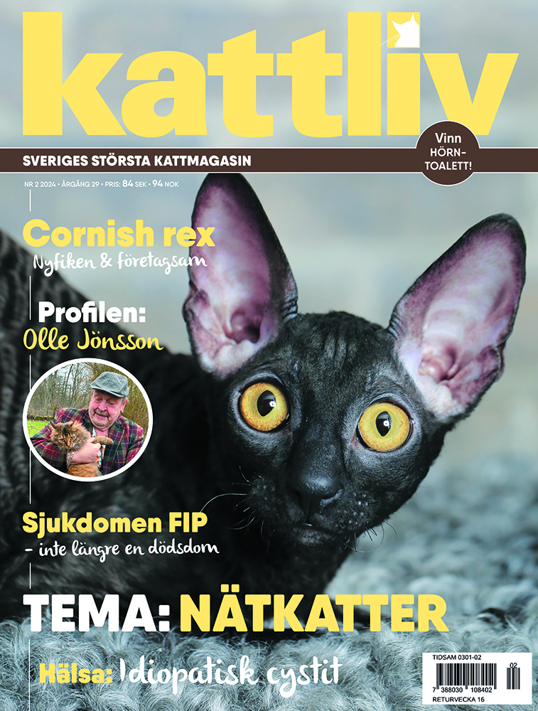 Lösnummer 2/2024