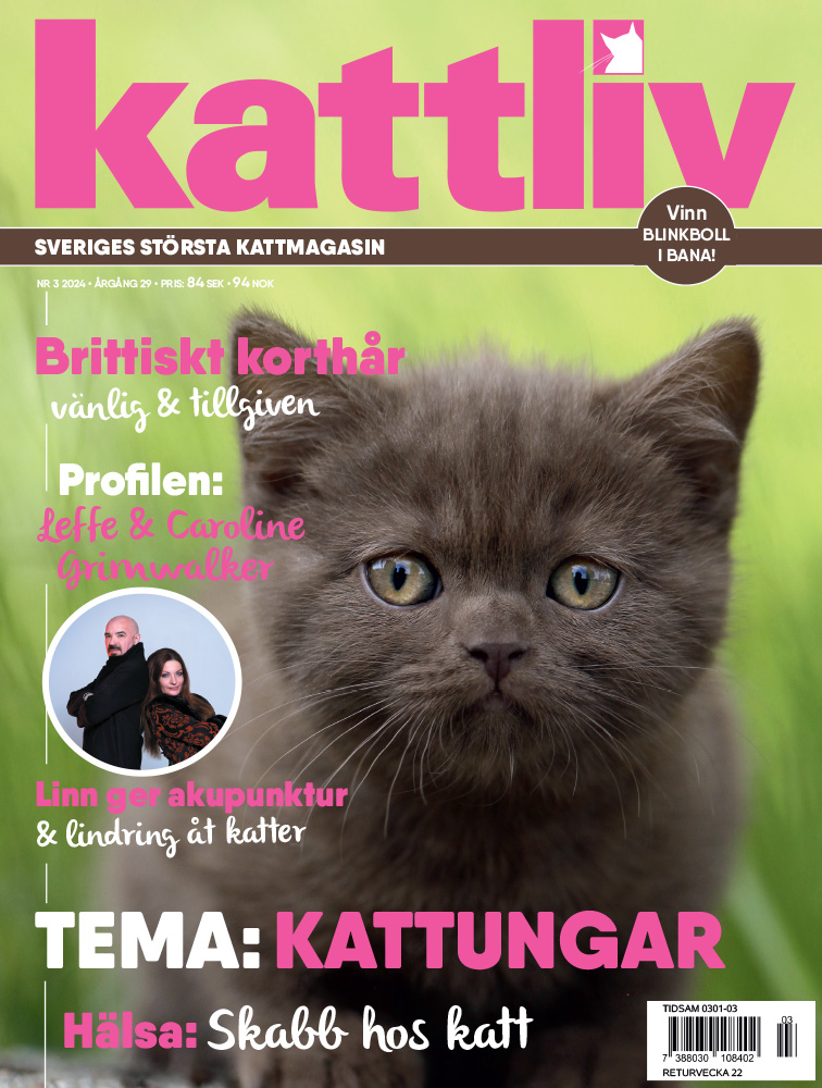 Lösnummer 3/2024