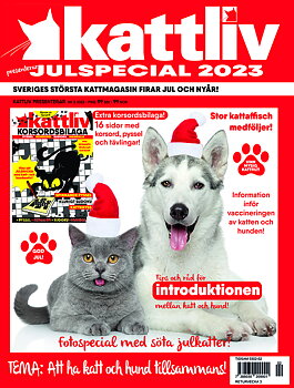 Julspecial 2023