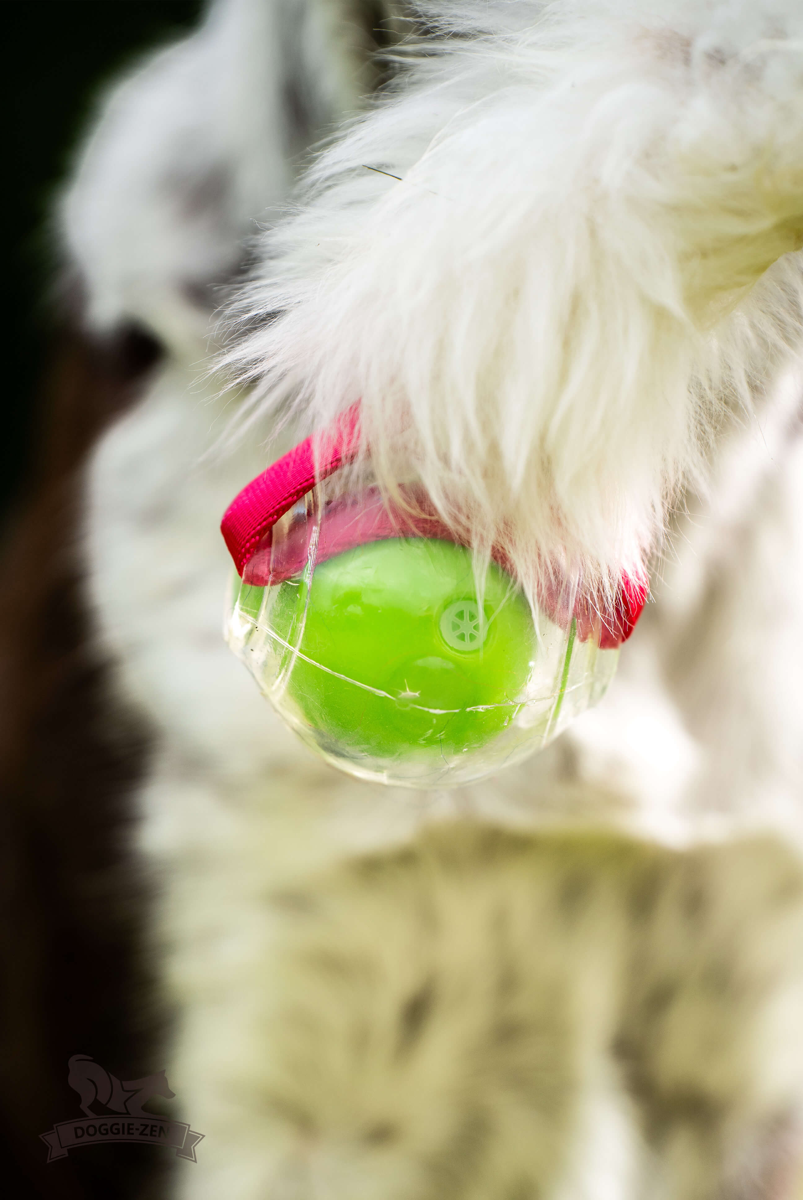 Bungee Sheepskin Tug L with Amazing Squeaker Ball - 10