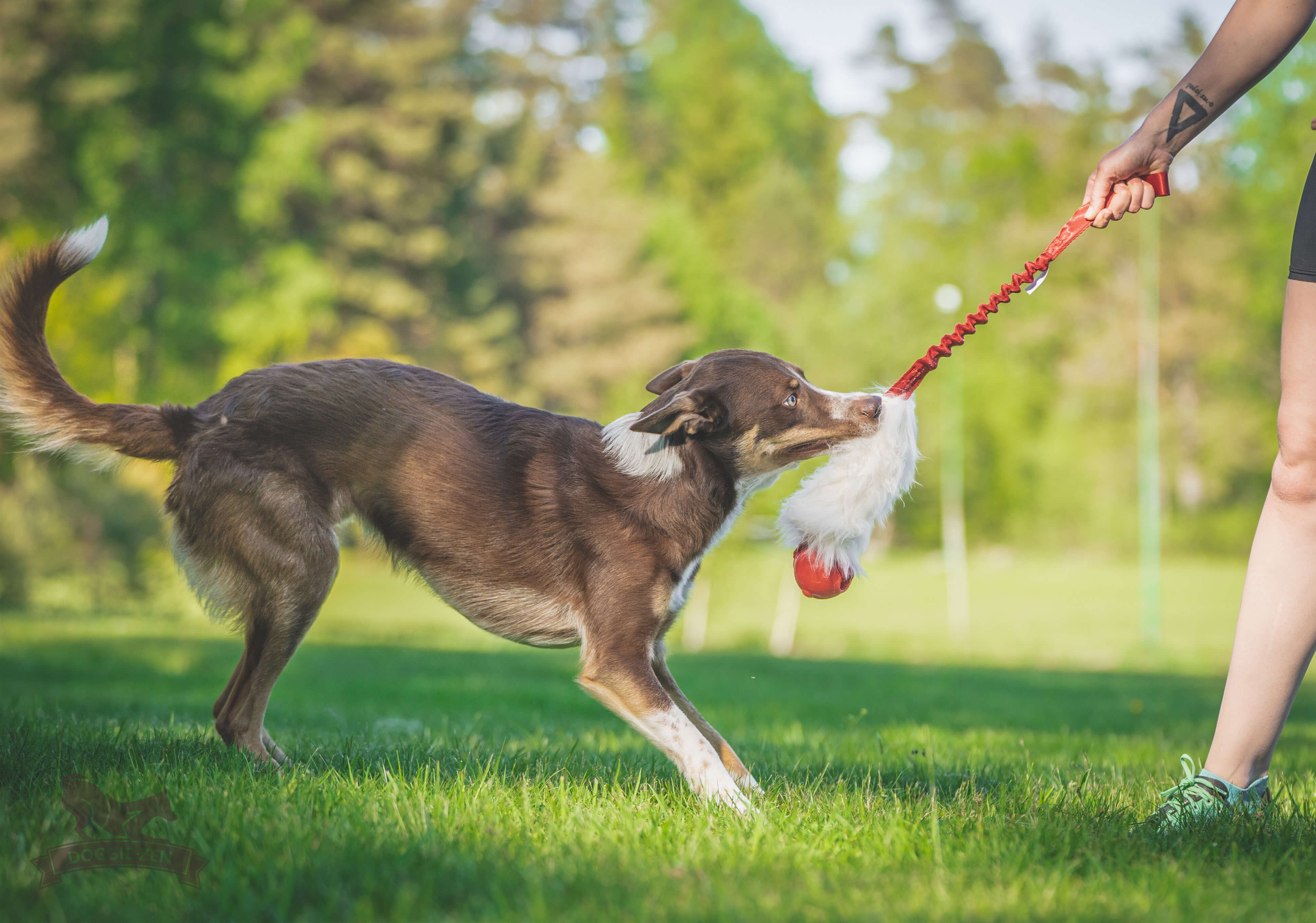 Bungee Sheepskin Tug L with Amazing Squeaker Ball - 6