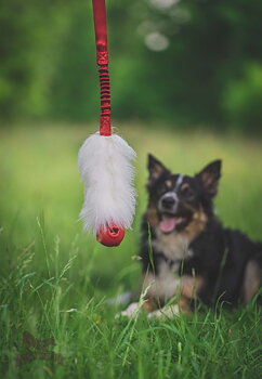 Bungee Sheepskin Tug L with Amazing Squeaker Ball