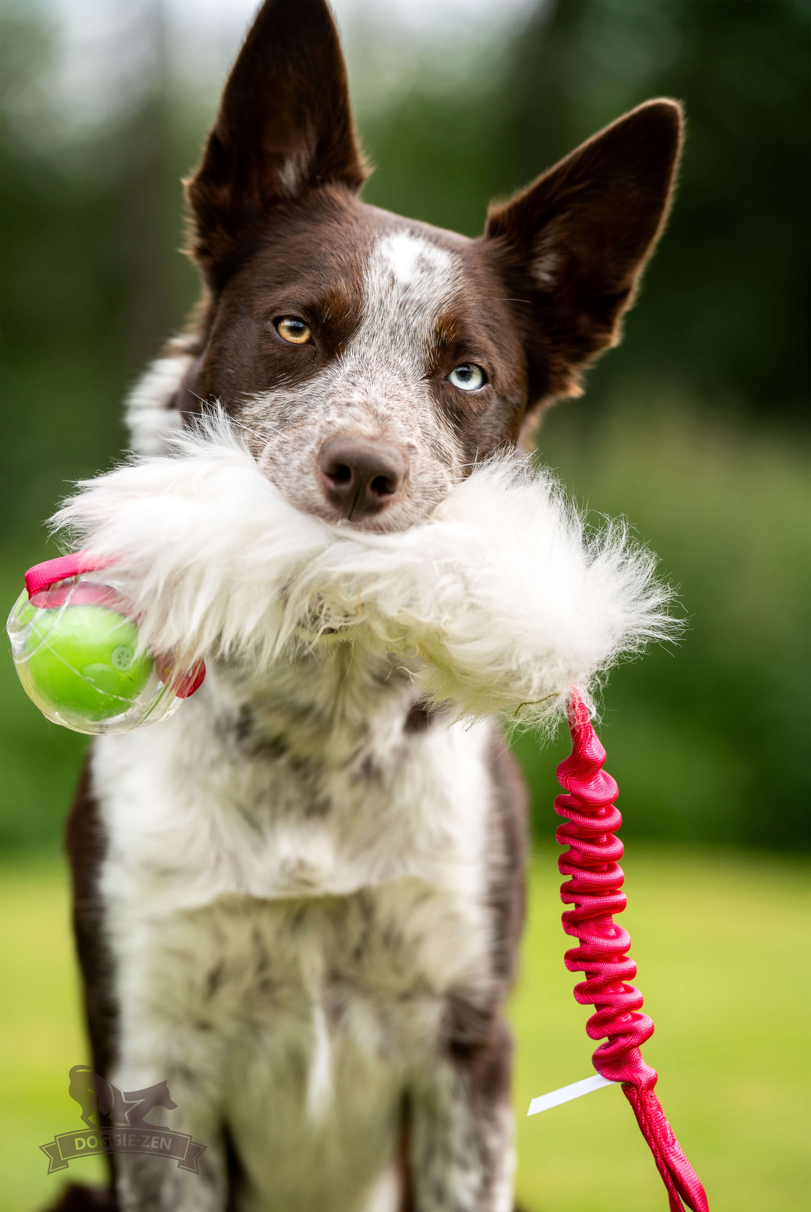 Bungee Sheepskin Tug L with Amazing Squeaker Ball - 4