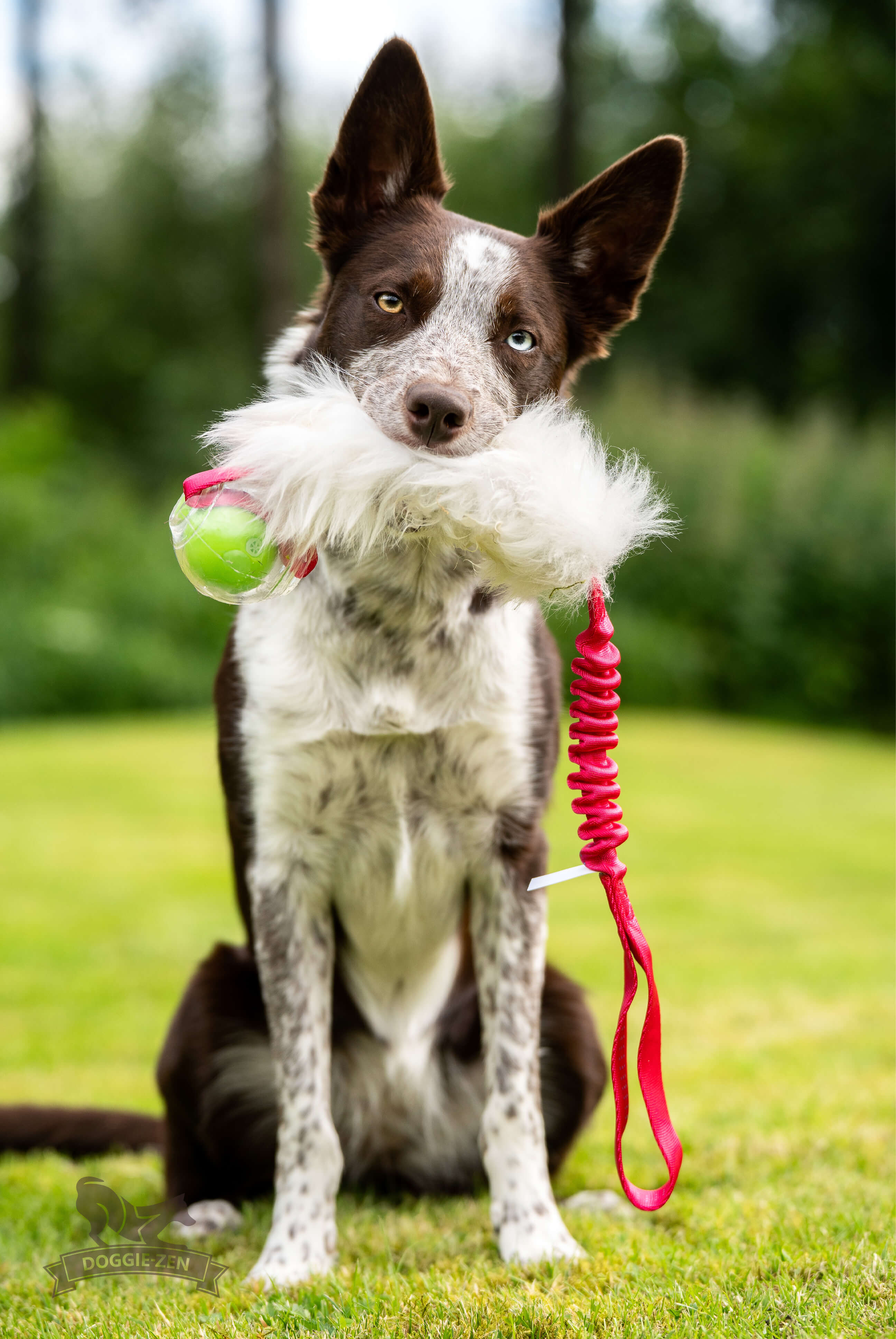 Bungee Sheepskin Tug L with Amazing Squeaker Ball - 9