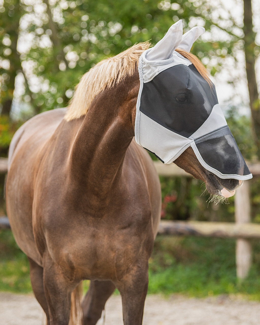 Flugmask Solaire