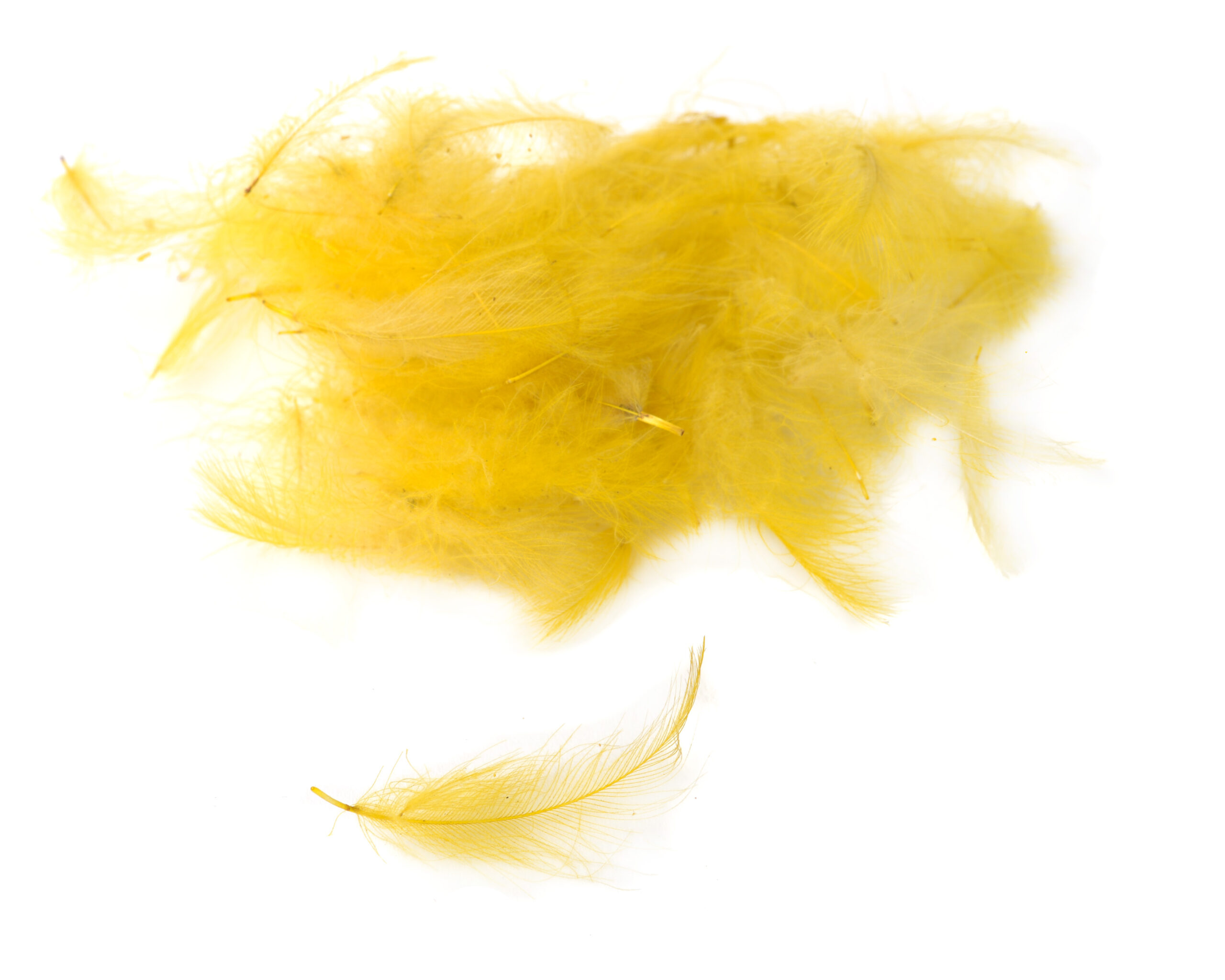 Flydressing Premium CDC - 6