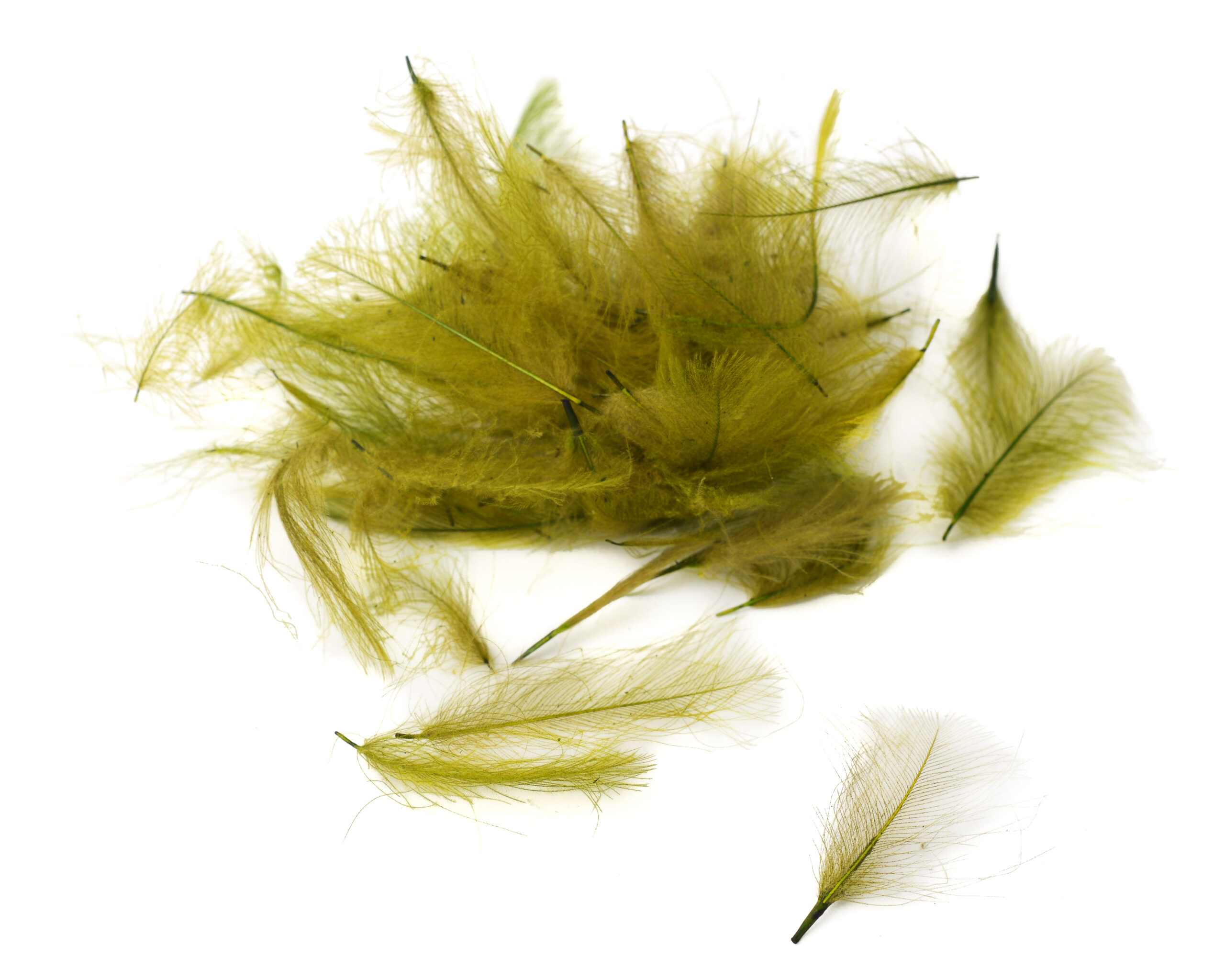 Flydressing Premium CDC - 5