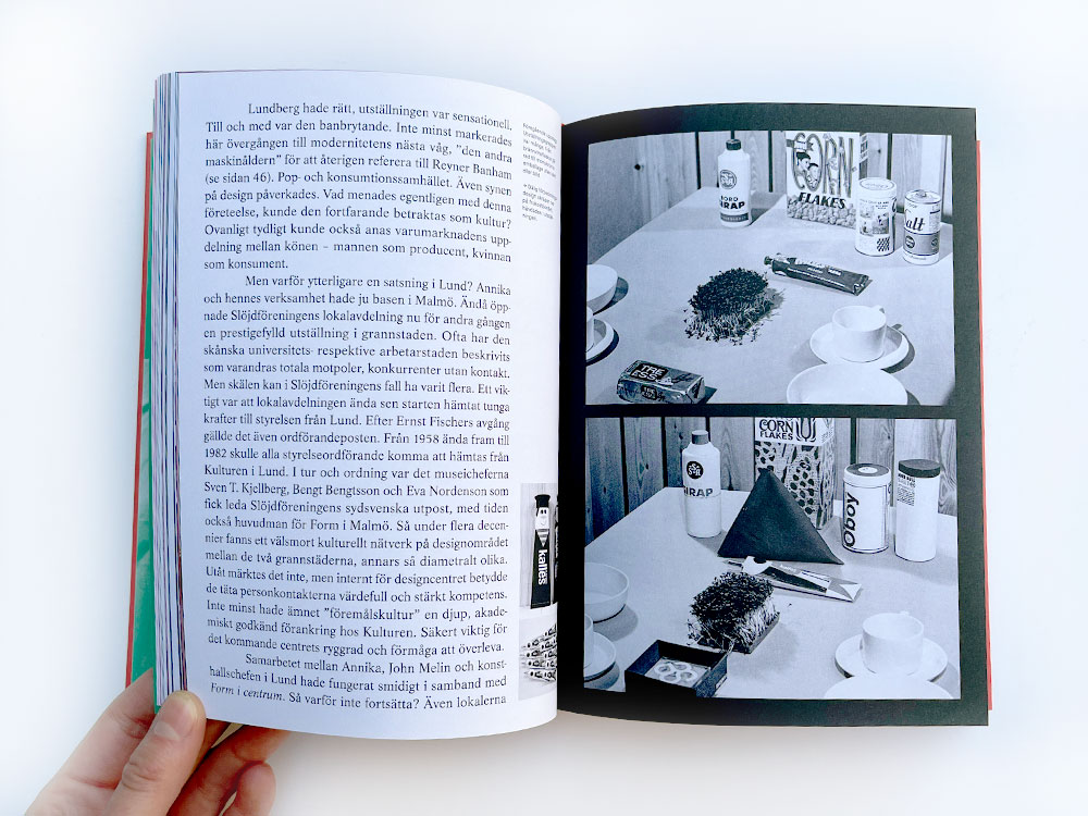 Annika Heijkenskjöld: Designaktivisten - 3