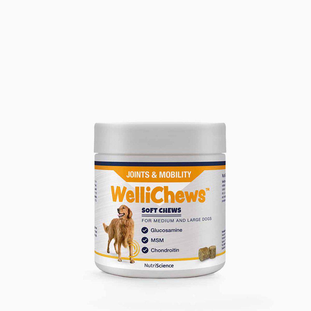 Wellichews Joint Medium /Large  60 st