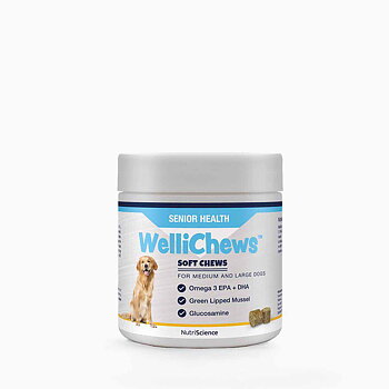 Wellichews Senior Medium/large  60 st