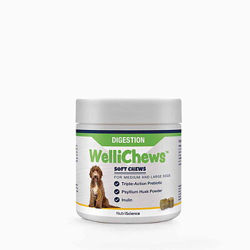 Wellichews Digestion Medium/Large 60 st