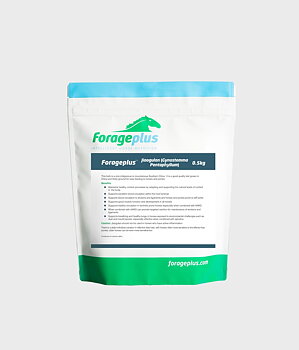FORAGEPLUS JIAOGULAN 0,5 kg