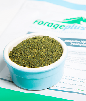 FORAGEPLUS JIAOGULAN 0,5 kg