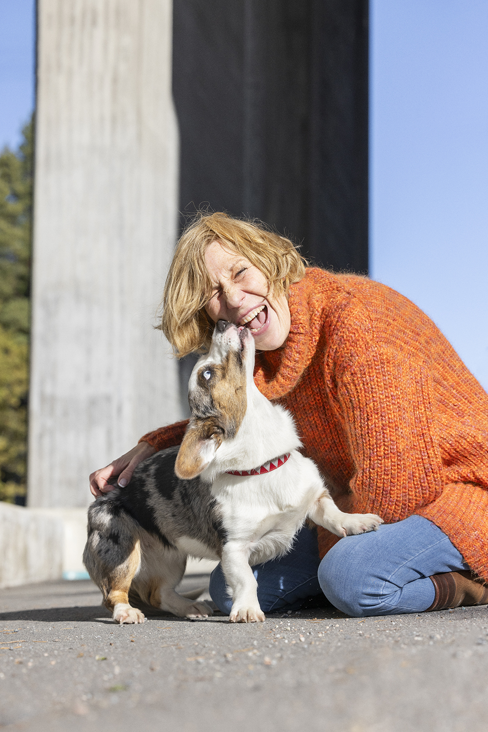 Kontaktkontraktet - Lek med din hund. Eva Bodfäldt - 5
