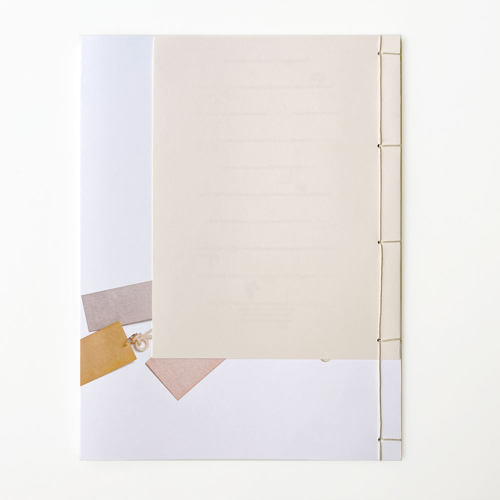 Karin Johansson: Observations from a Distance - 2