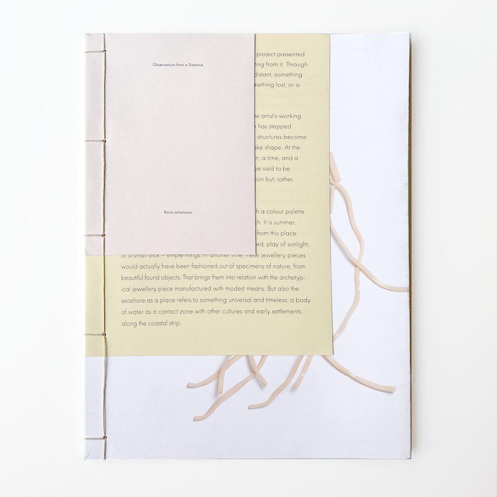 Karin Johansson: Observations from a Distance